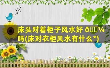 床头对着柜子风水好 🐼 吗(床对衣柜风水有什么*
)